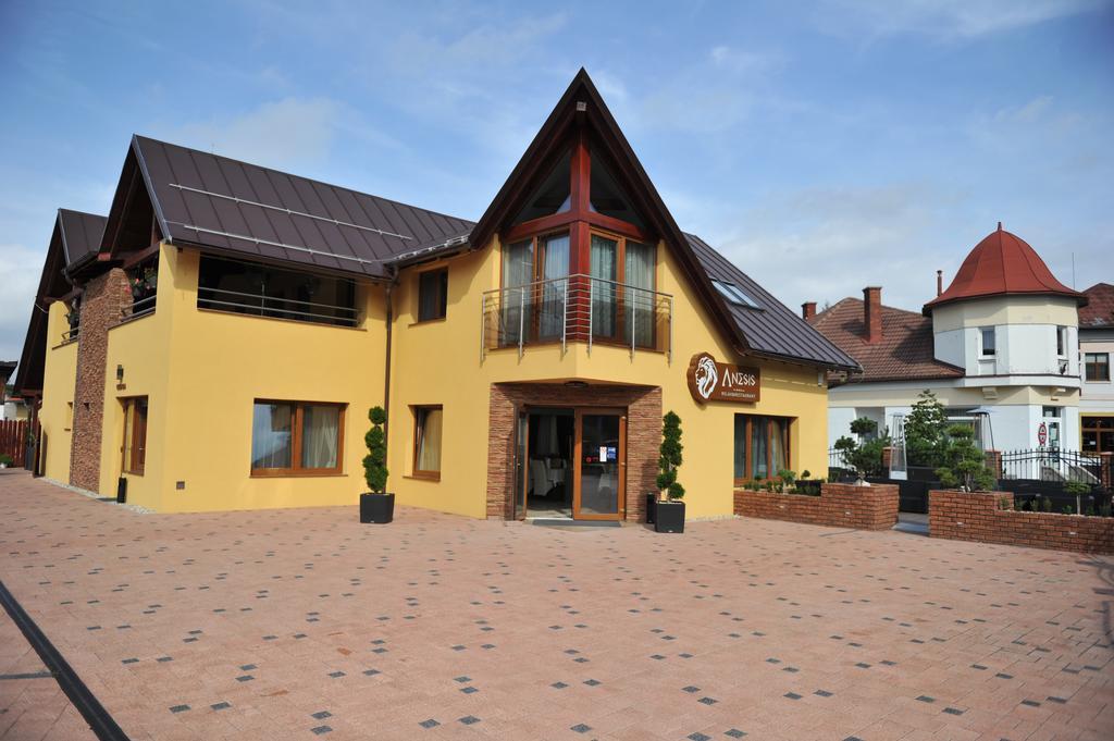 Penzion Anesis - Studia Turčianske Teplice Buitenkant foto